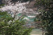 嵐山・渡月橋周辺