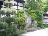 東福寺光明院の新緑