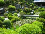 東福寺開山堂周辺の新緑