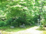 東福寺方丈庭園の新緑