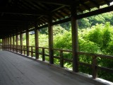 東福寺通天橋周辺の新緑