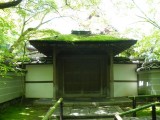 大徳寺高桐院の新緑