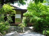 妙心寺退蔵院の新緑