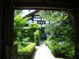 妙心寺退蔵院の新緑