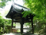 圓光寺の新緑