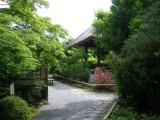 光悦寺の新緑