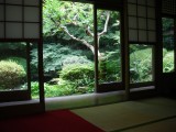 長楽寺の新緑