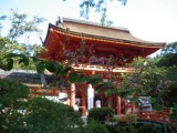 上賀茂神社の萩