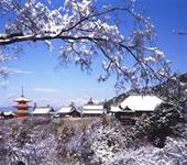 季節の光景...清水寺