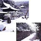 季節の光景...高台寺と、石塀小路
