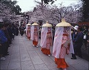 平野神社桜花祭